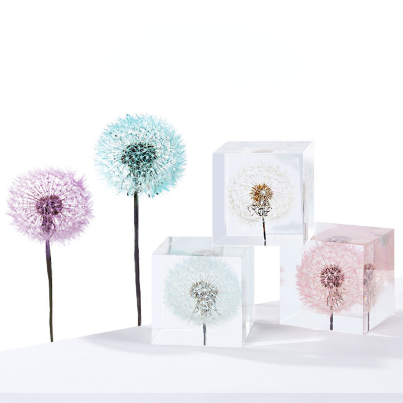 Dandelion preserved fresh flow - Flower Preservation Resin recensione e prezzo