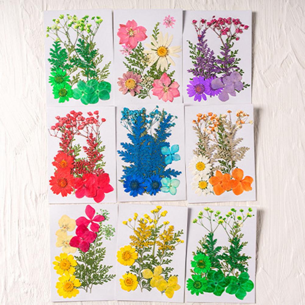 Dried Flower Bouquet Premium D - Dried Flower Bulk recensione e prezzo