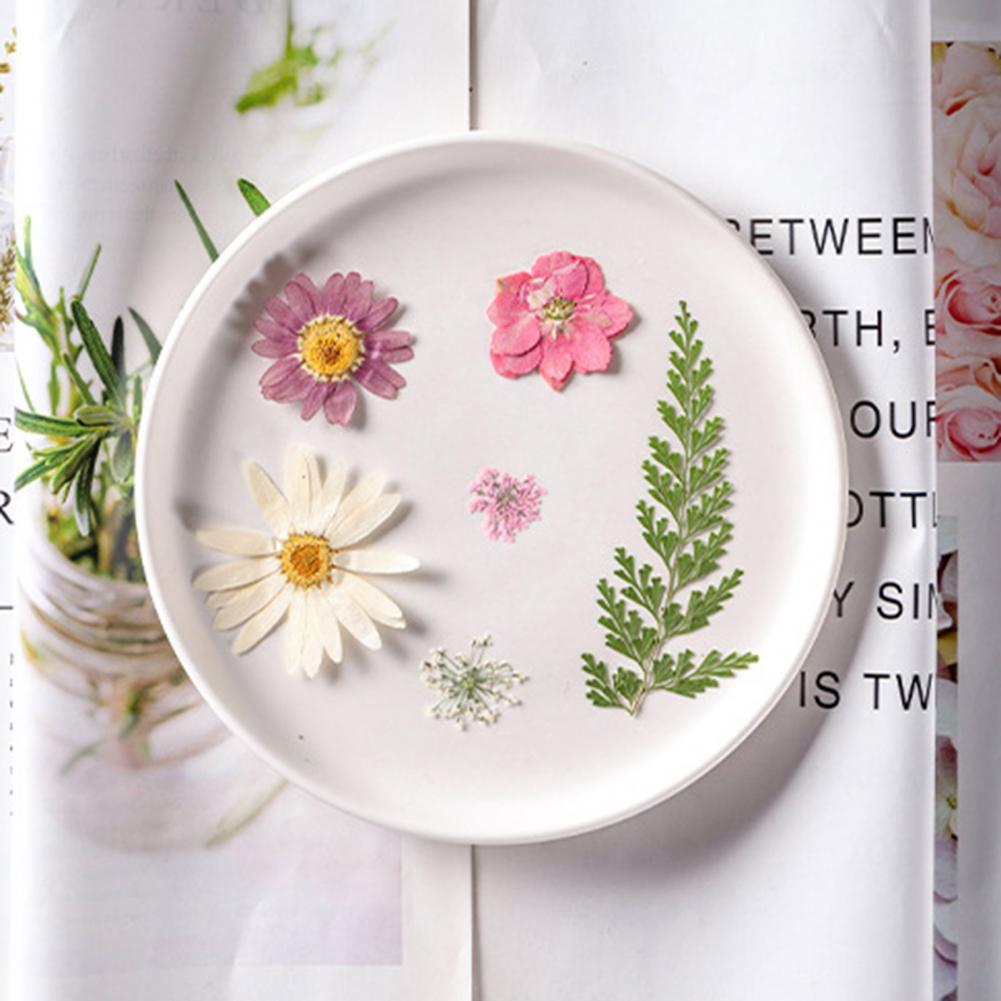 Dried Flower Bouquet Premium D - Dried Flower Bulk recensione e prezzo