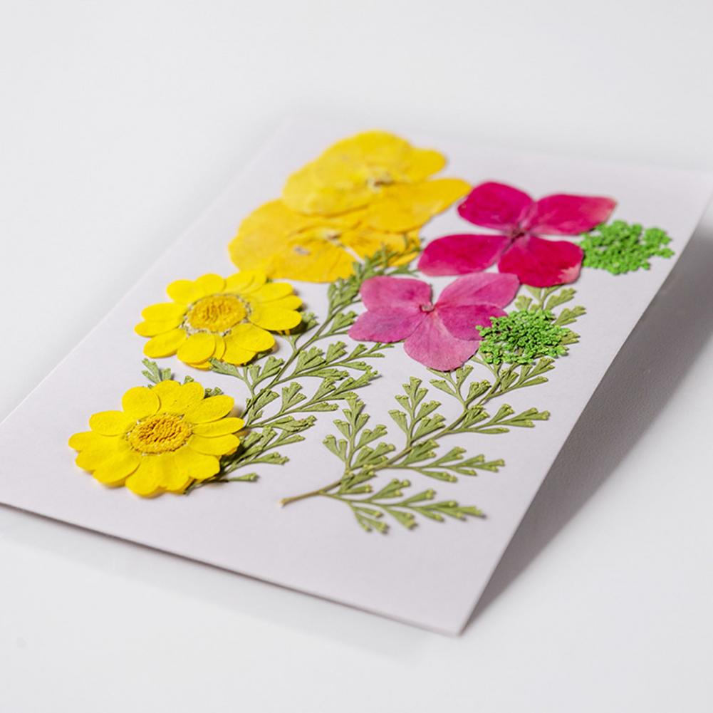 Dried Flower Bouquet Premium D - Dried Flower Bulk recensione e prezzo