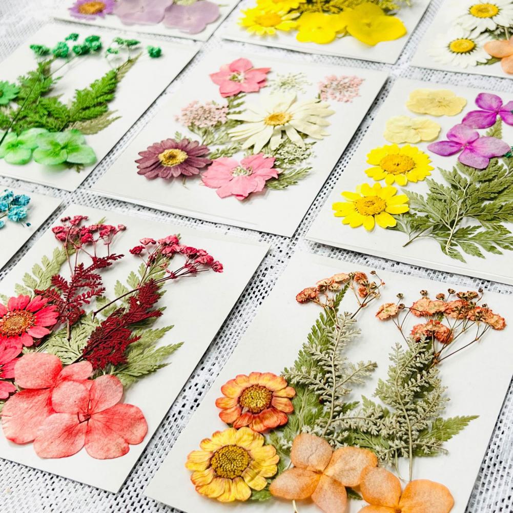 Dried Flower Bouquet Premium D - Dried Flower Bulk recensione e prezzo