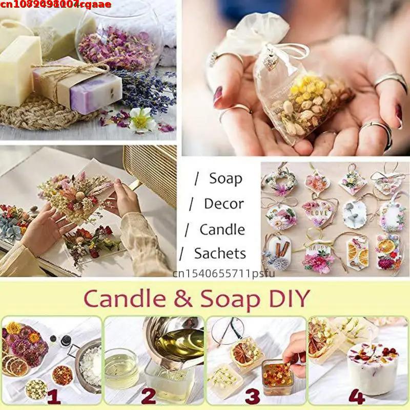 Premium Natural Dry Flower For - Dried Flower Bulk recensione e prezzo