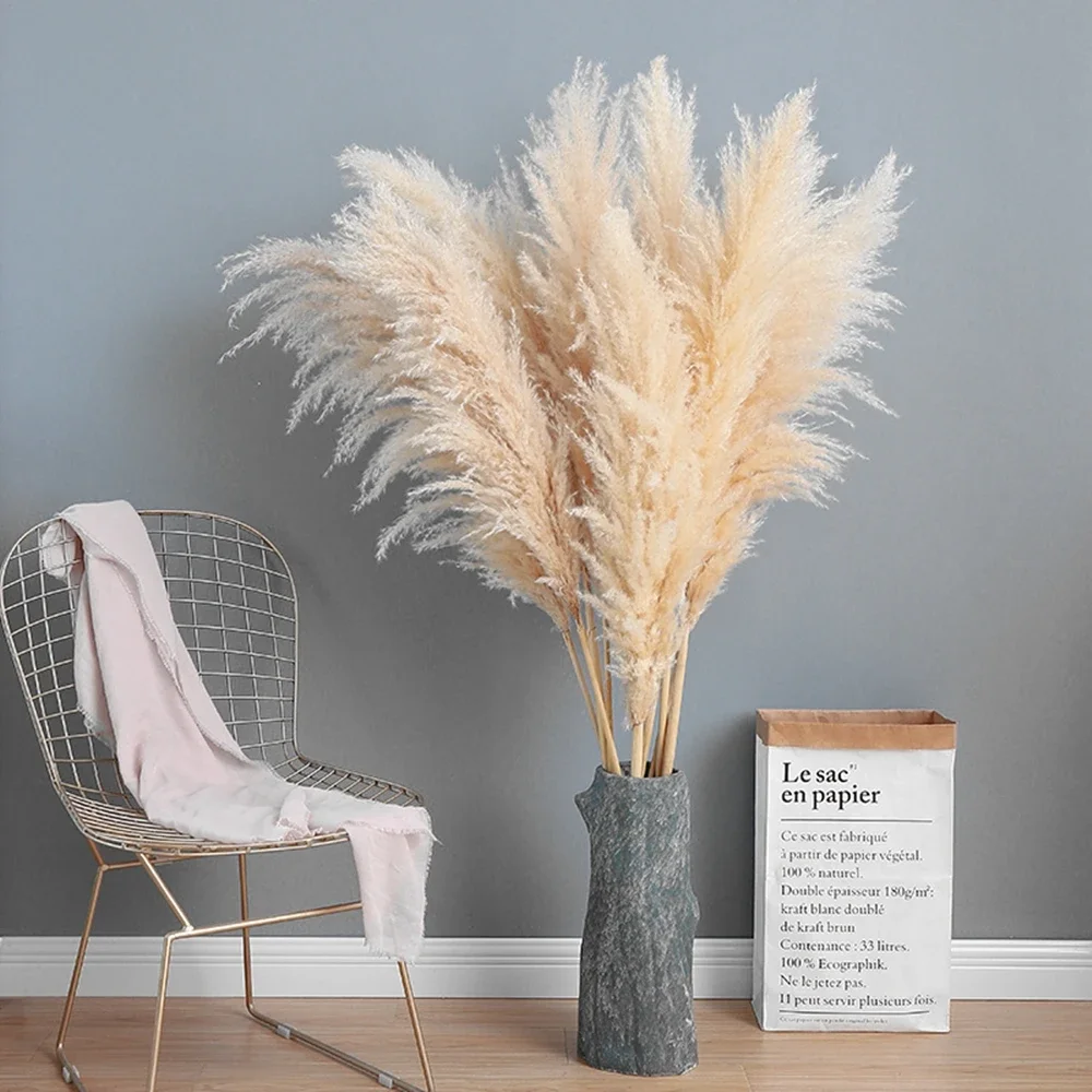 120cm - 130cm Fluffy Large Pam - Dried Flower Bulk recensione e prezzo