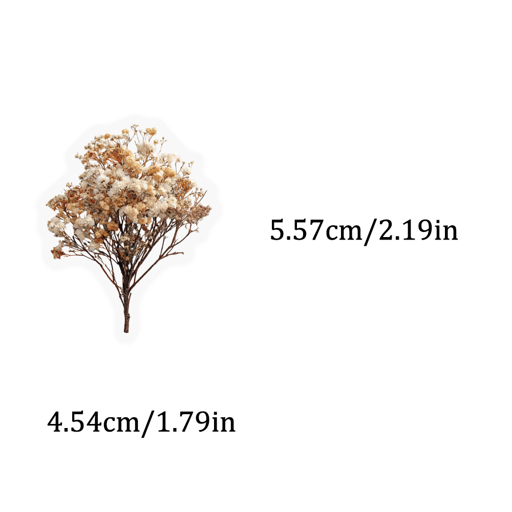 50PCS Retro Color Dried Flower - Dried Flower Bulk recensione e prezzo