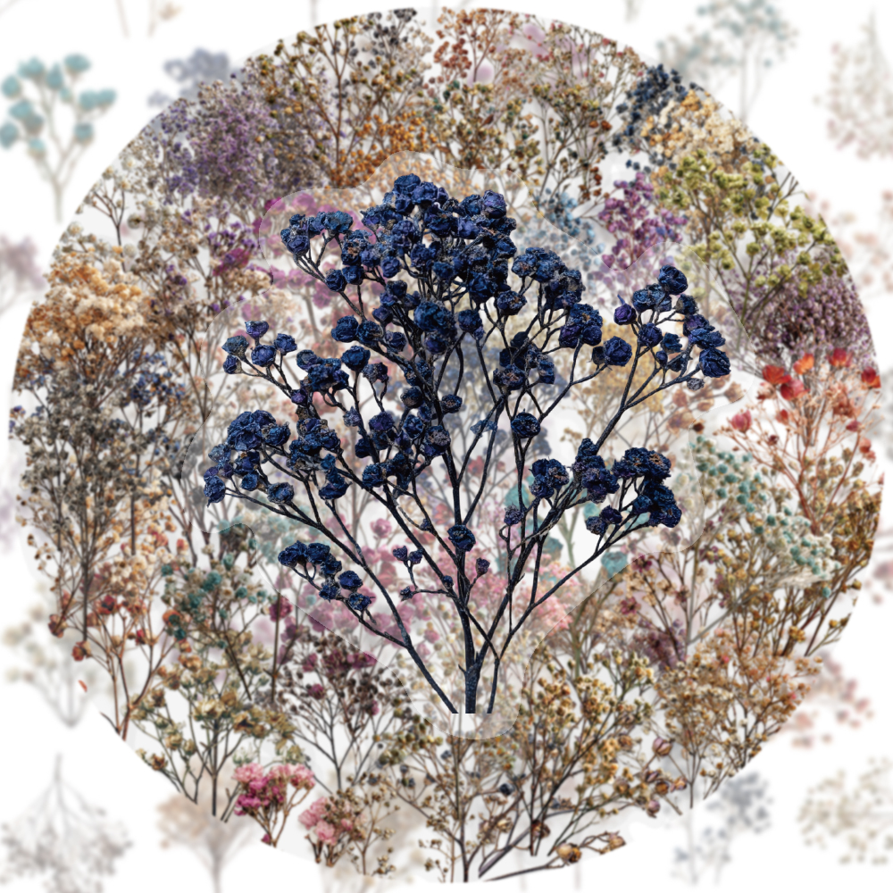 50PCS Retro Color Dried Flower - Dried Flower Bulk recensione e prezzo