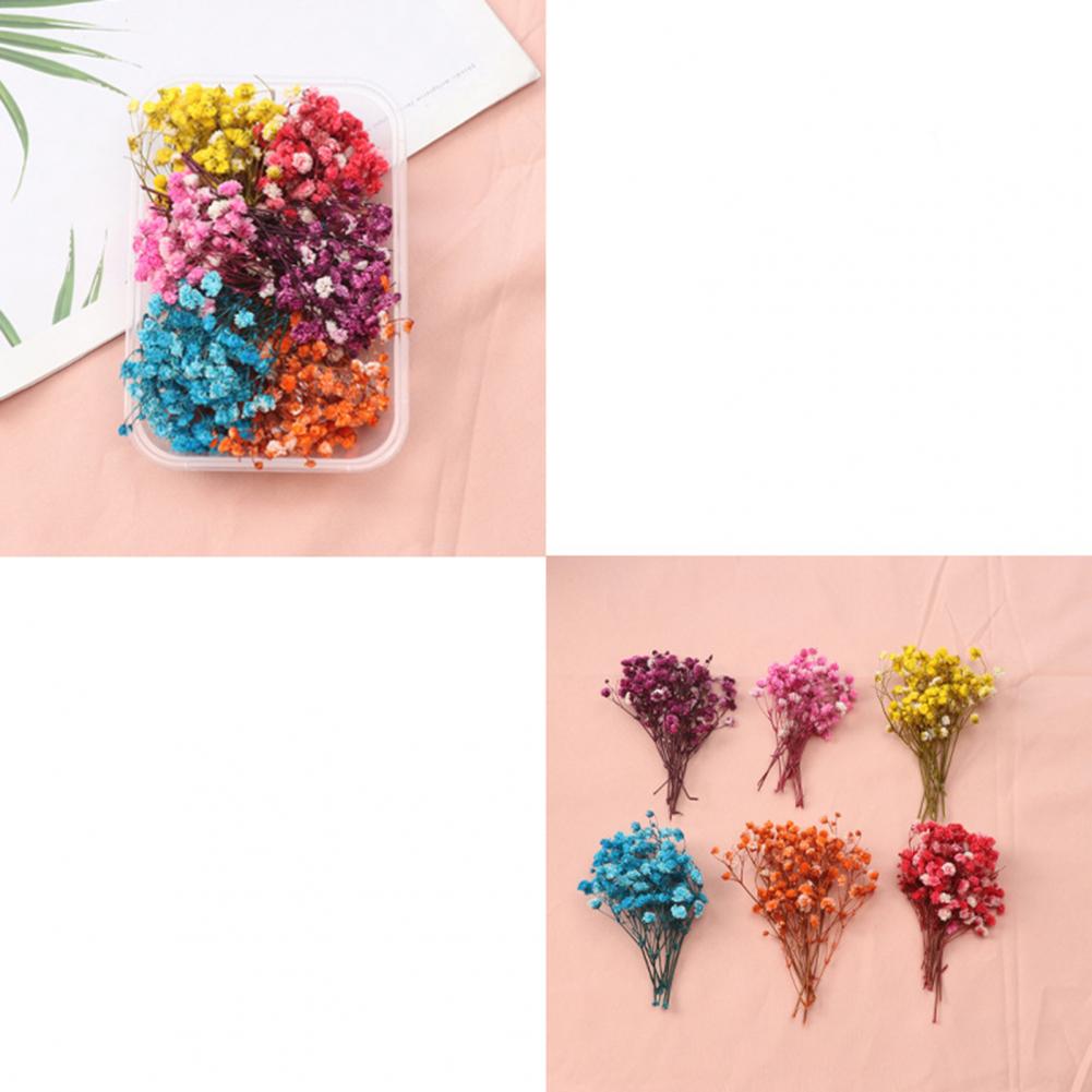 Natural Flowers Diy Dried Flow - Dried Flower Bulk recensione e prezzo