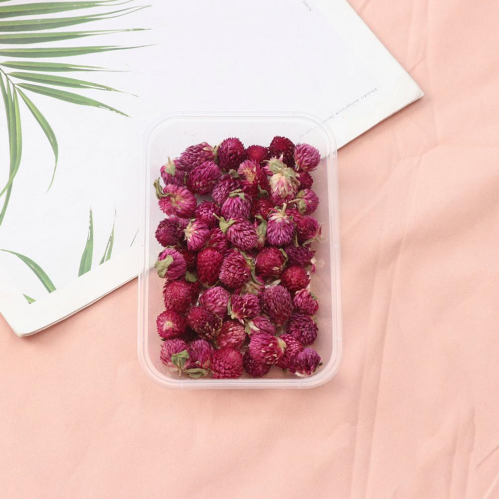 Natural Flowers Diy Dried Flow - Dried Flower Bulk recensione e prezzo