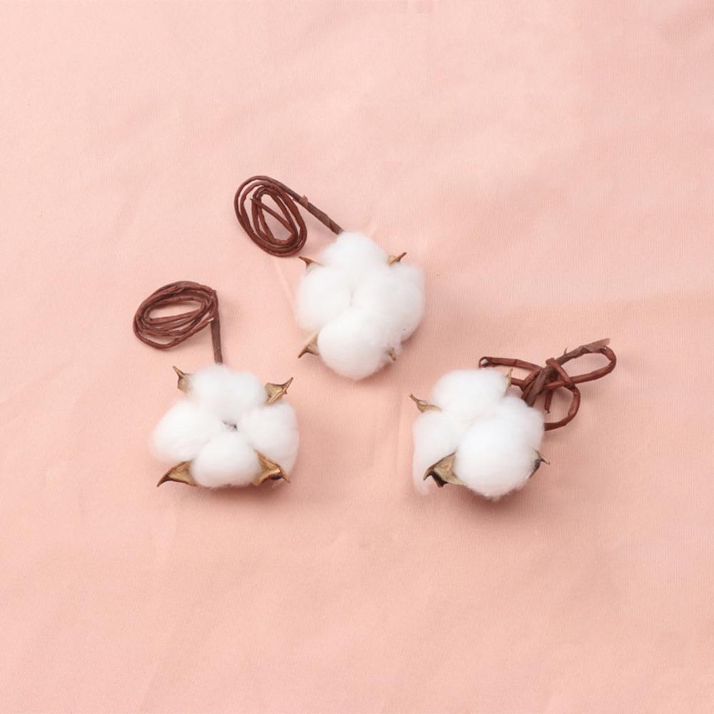 Natural Flowers Diy Dried Flow - Dried Flower Bulk recensione e prezzo