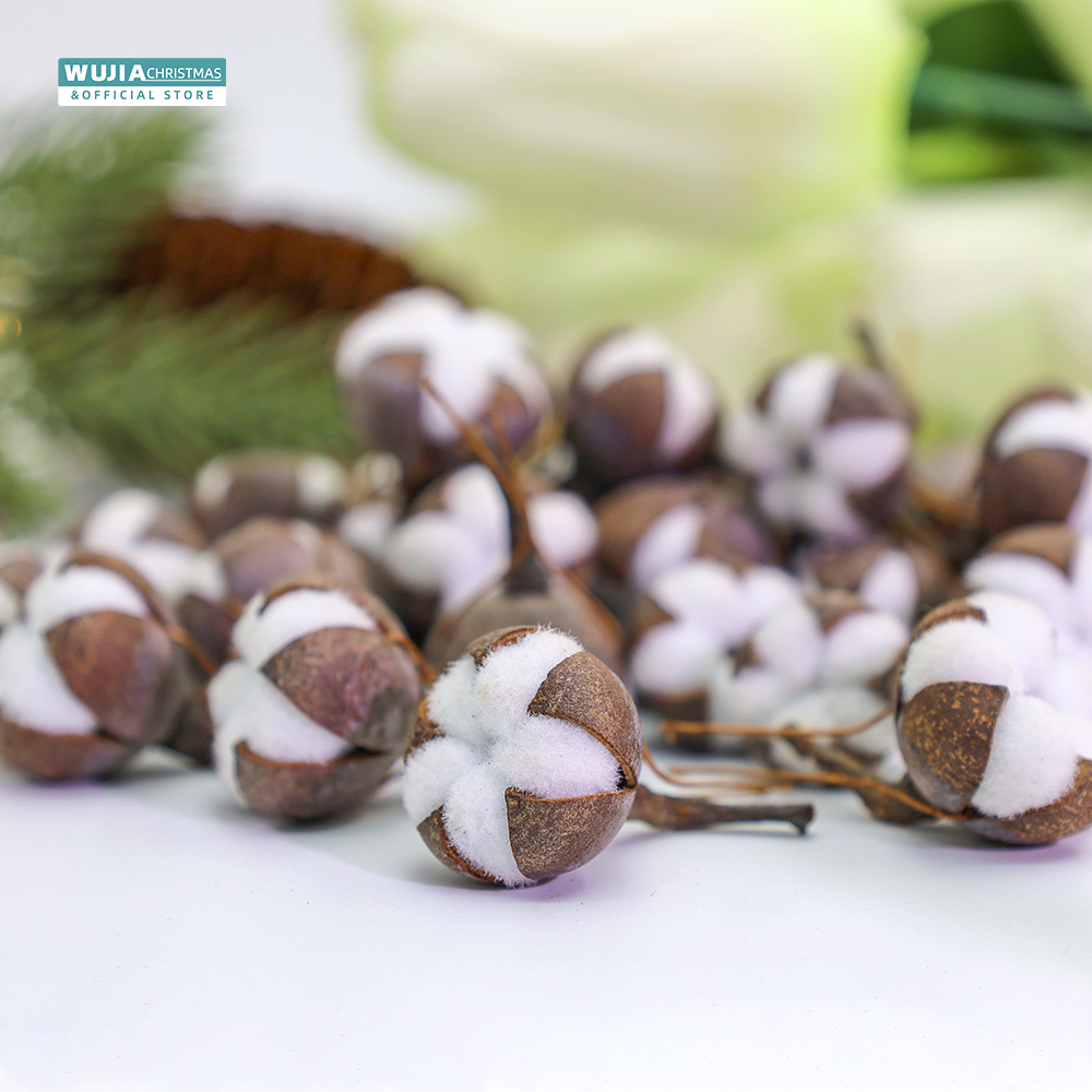 12pcs Artificial Kapok Natural - Dried Flower Bulk recensione e prezzo