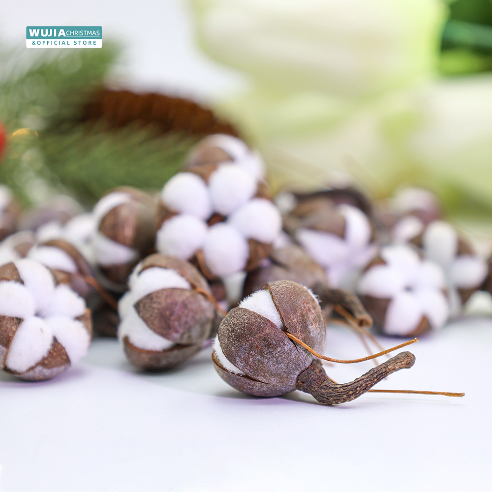12pcs Artificial Kapok Natural - Dried Flower Bulk recensione e prezzo