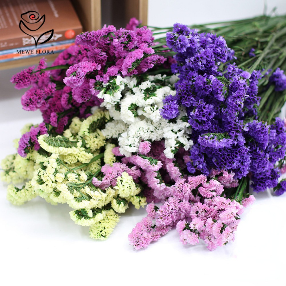 100g Dried Forget Me Not Flowe - Dried Flower Bulk recensione e prezzo