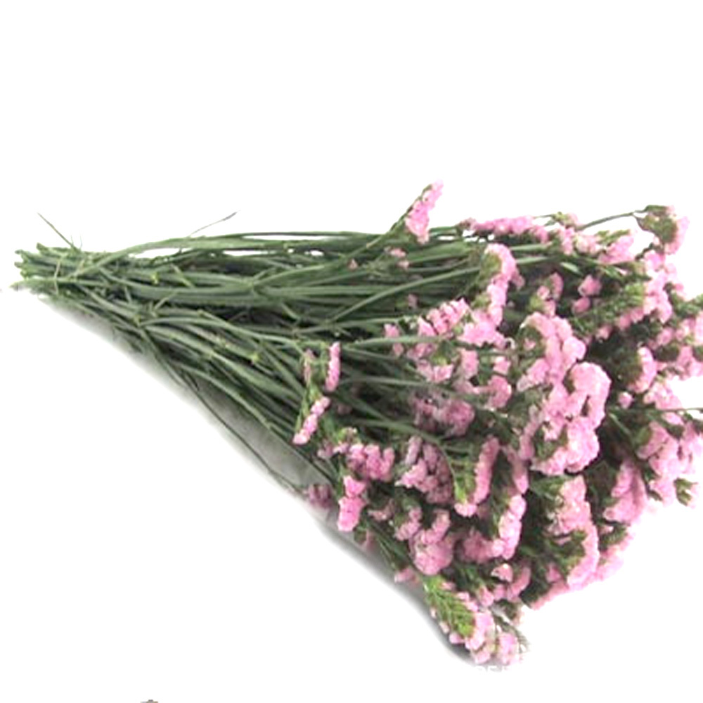 Pink color dried natural flowe - Dried Flower Bulk recensione e prezzo