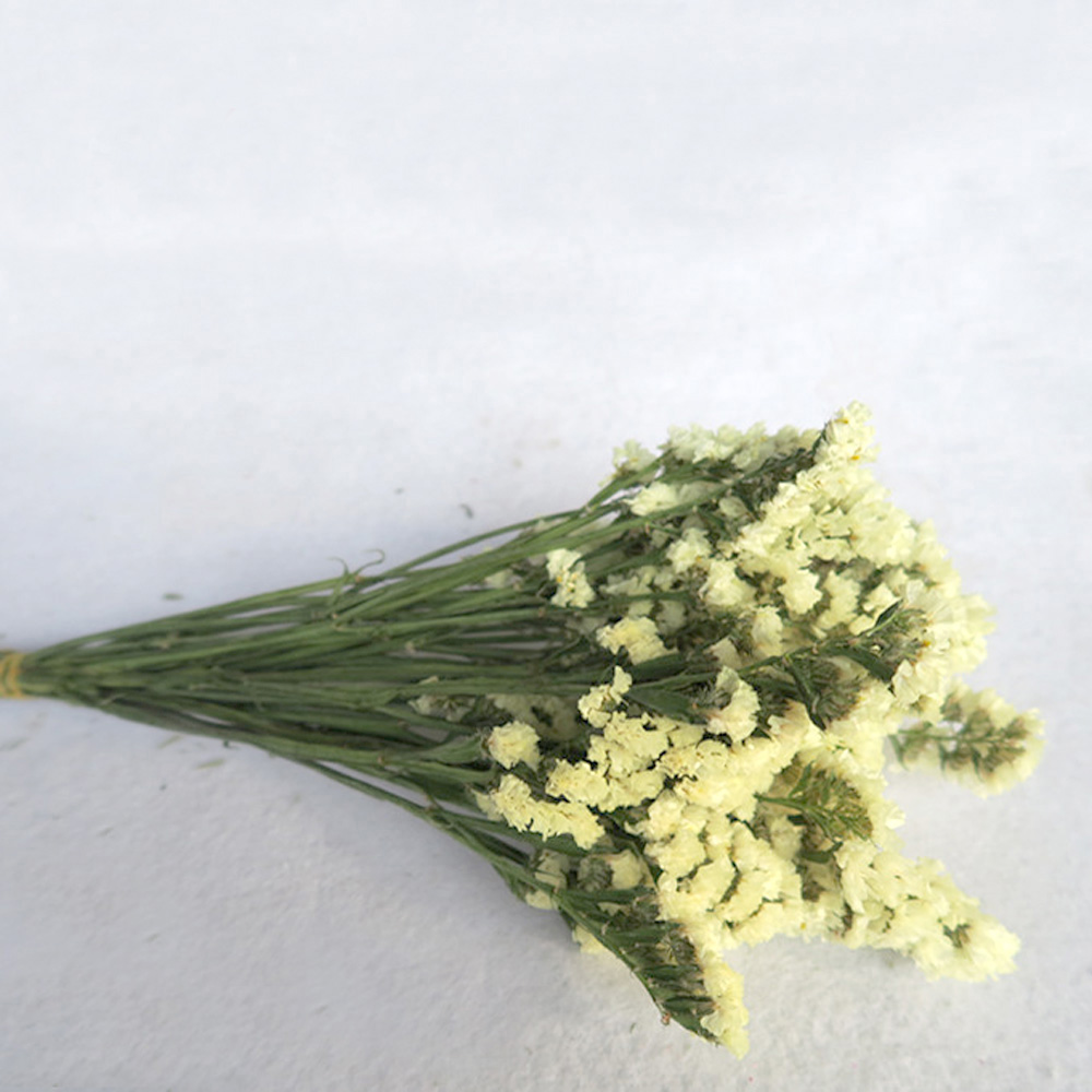 Pink color dried natural flowe - Dried Flower Bulk recensione e prezzo