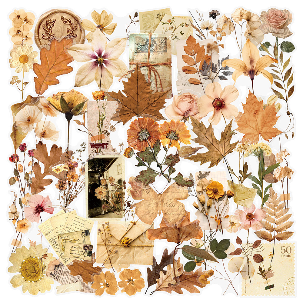 10/30/50pcs Transparent Dried  - Dried Flower Bulk recensione e prezzo
