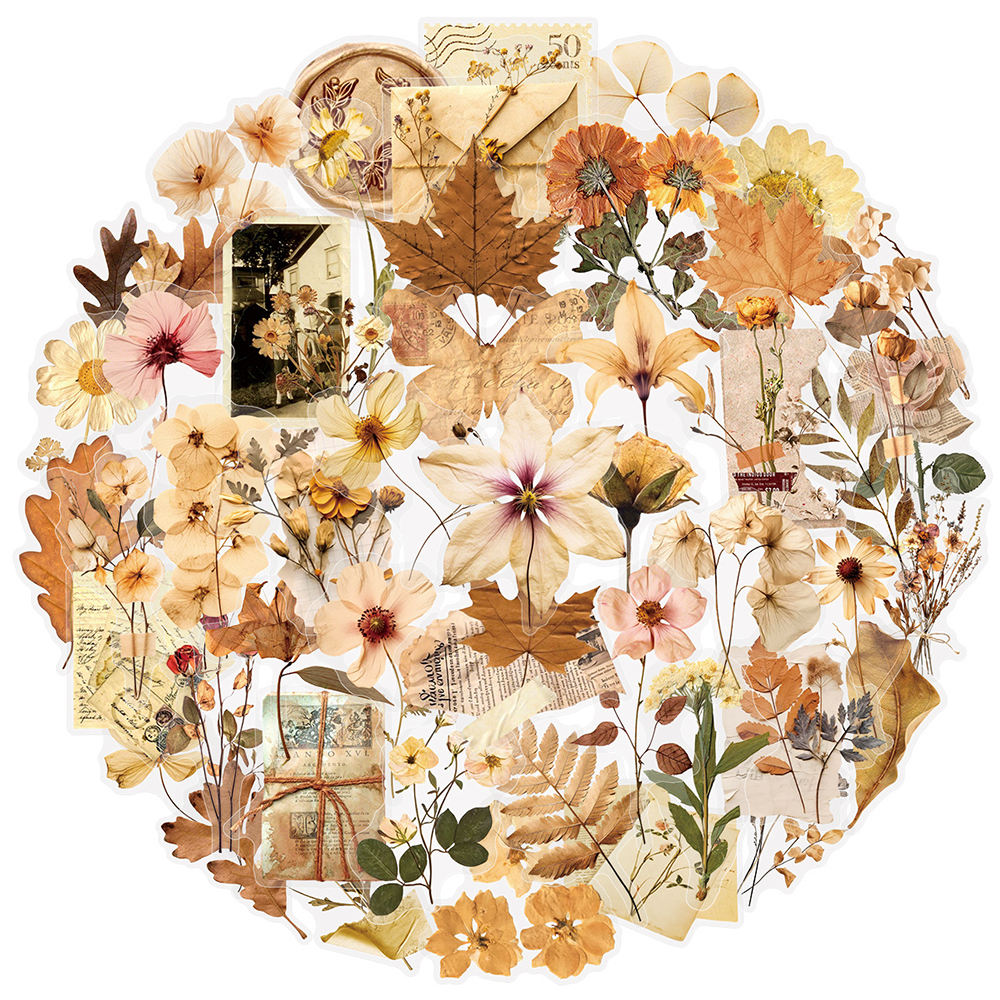 10/30/50pcs Transparent Dried  - Dried Flower Bulk recensione e prezzo