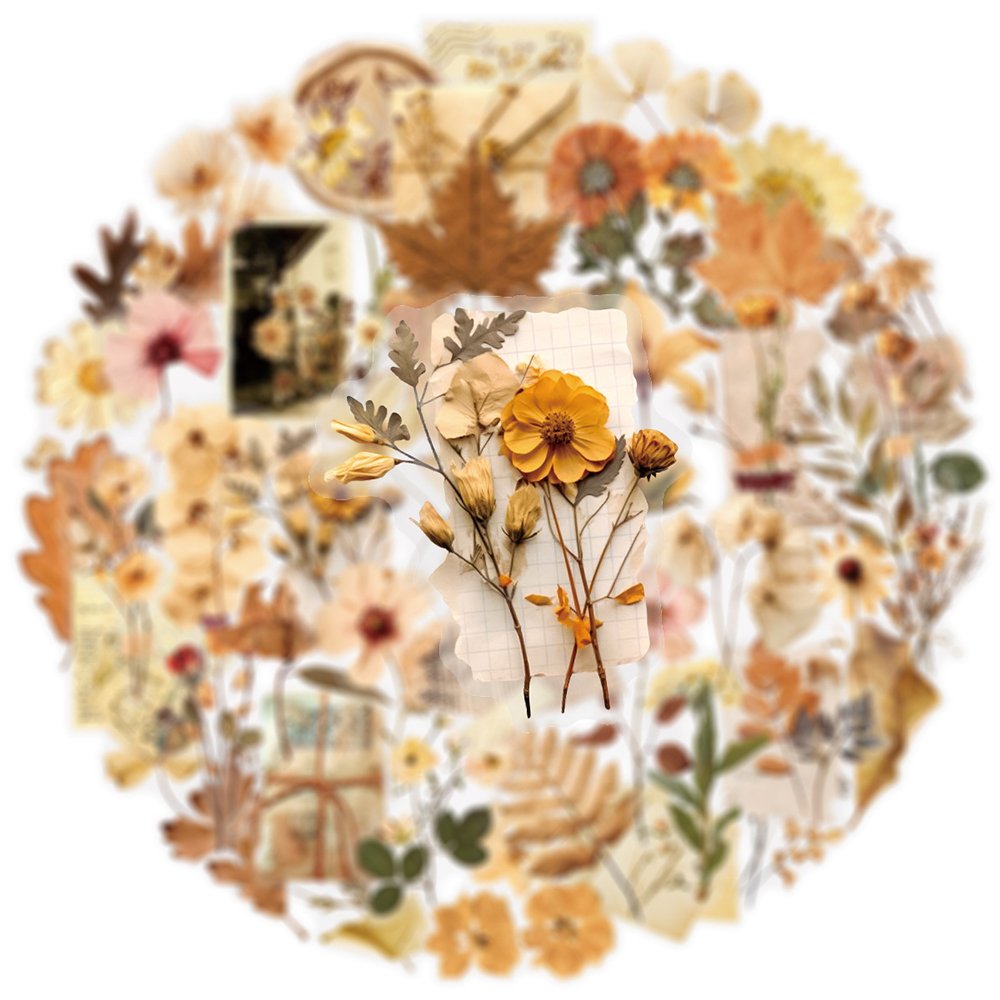 10/30/50pcs Transparent Dried  - Dried Flower Bulk recensione e prezzo