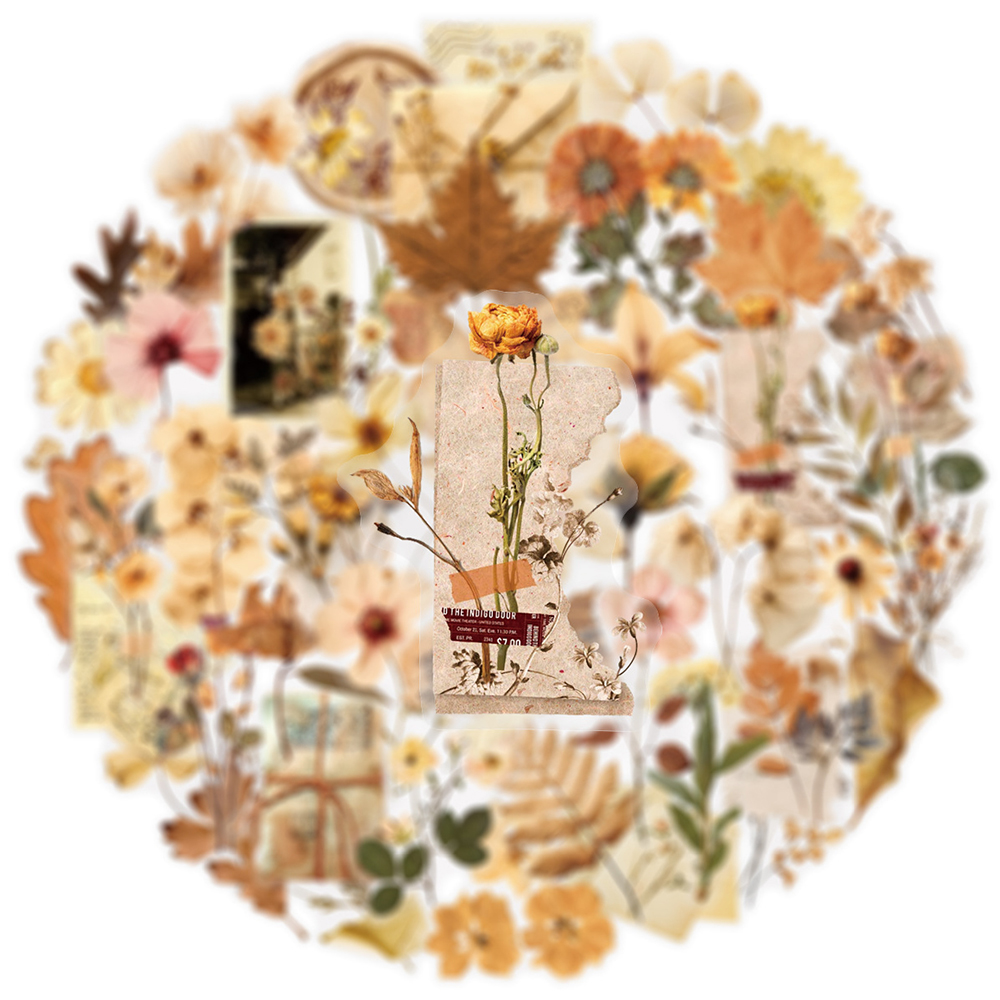 10/30/50pcs Transparent Dried  - Dried Flower Bulk recensione e prezzo