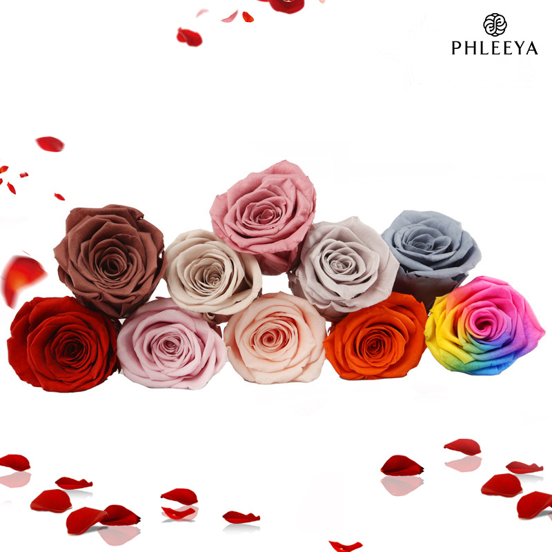 6pcs Eternal Rose Flower Heads - Dried Flower Bulk recensione e prezzo