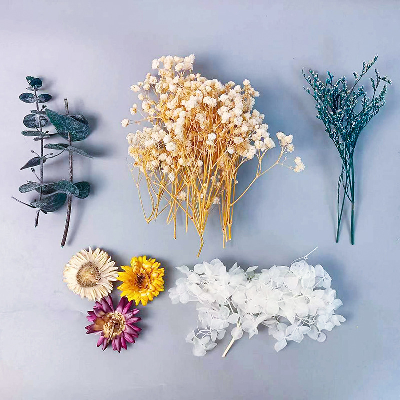 1pack Multifarious Dried Flowe - Dried Flower Bulk recensione e prezzo