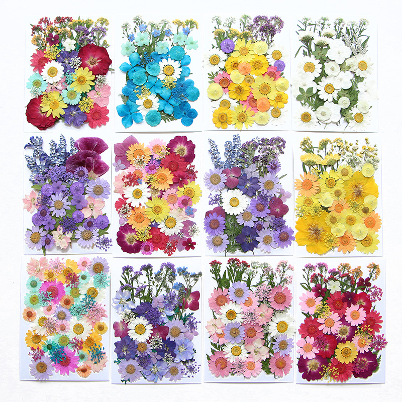 6pcsDried Flowers Real Natural - Flower Preservation Resin recensione e prezzo