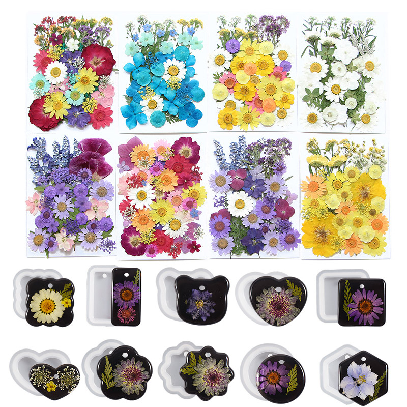 6pcsDried Flowers Real Natural - Flower Preservation Resin recensione e prezzo
