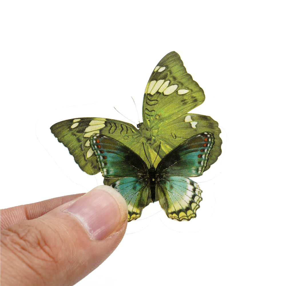 40pcs Colorful Butterfly Wings - Gold Foil Flakes recensione e prezzo