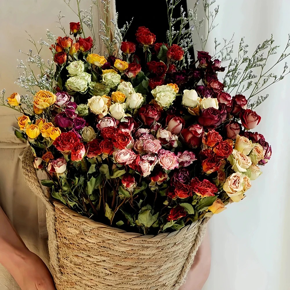 a lot Small Rose, Decorative N - Dried Flower Bulk recensione e prezzo