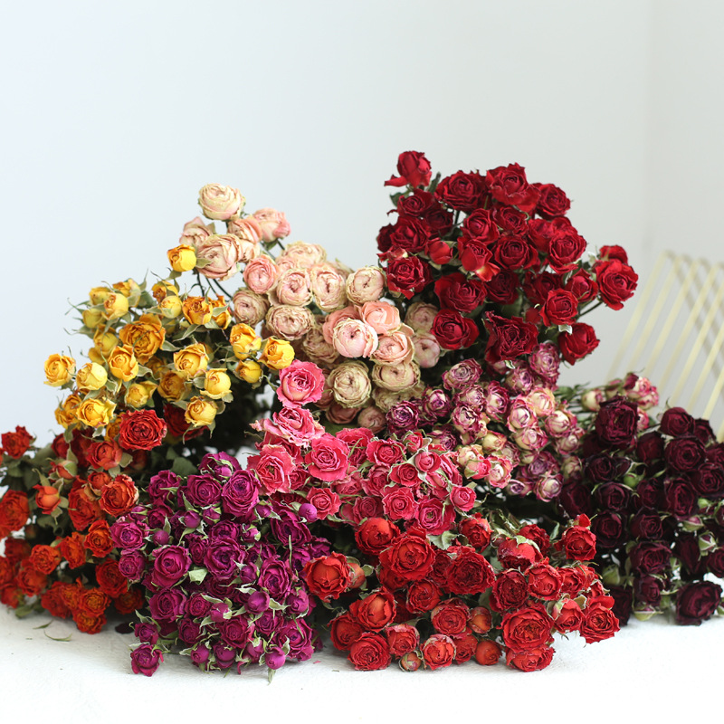 a lot Small Rose, Decorative N - Dried Flower Bulk recensione e prezzo