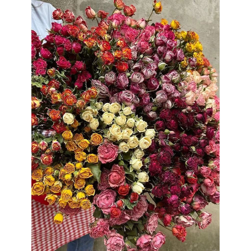 a lot Small Rose, Decorative N - Dried Flower Bulk recensione e prezzo